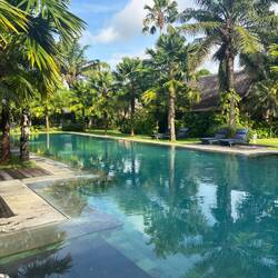 ... Regenzeit hat was für sich 🤩