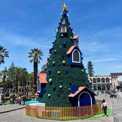 Weihnachtsbaum am „Plaza de Armas Arequipa“ 🎄
