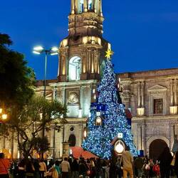 Weihnachtsmarkt 🎅🏻🎄🍷