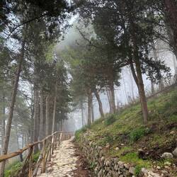 der Weg durch den Wald hoch zur Höhle