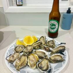 Lovely Fresh Oysters from Sue at Work