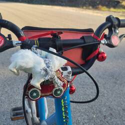 Vélo en mode Noël
