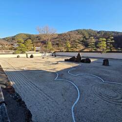 I didn't really get it