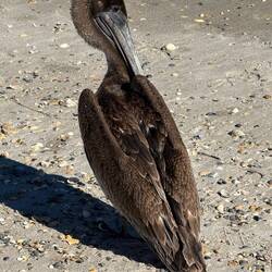 Auf dem Rückweg, sowas von chillig
