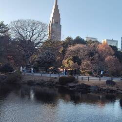 Shinjuku Gyoen Park mit NTT Docomo Yoyogi Building im Hintergrund