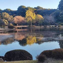 Shinjuku Gyoen Park