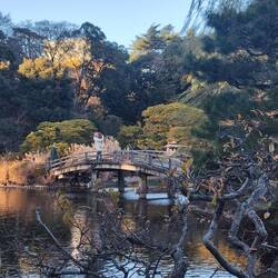 Shinjuku Gyoen Park