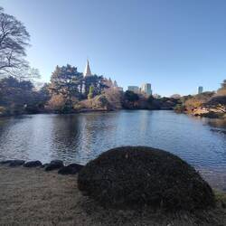 Shinjuku Gyoen Park