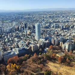 Blick vom Shinjuku Rathaus