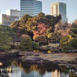 Shinjuku Gyoen Park