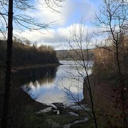 Viele Bäche speisen die Verse Talsperre.