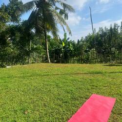 Was für ein toller Ort zum abschalten 🧘‍♀️