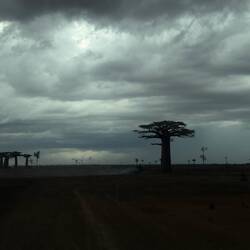 Und dann kam der Regen