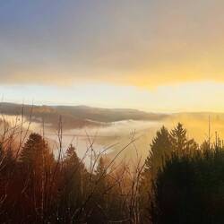 Morgens Nebel im Tal, Blick aus meinem Schlafzimmer