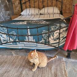 Der kleine Kater begrüßt uns gleich wieder.