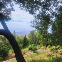 Blick auf die Südküste.