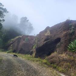 Wieder vorbei an den Lavawänden.