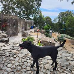 Der liebe Paúl begleitet uns gern.