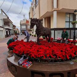 Es wird weihnachtlich geschmückt