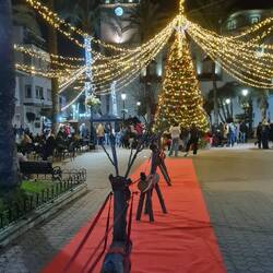 Der Schlitten ist bereit