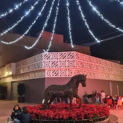 So sieht es fertig aus