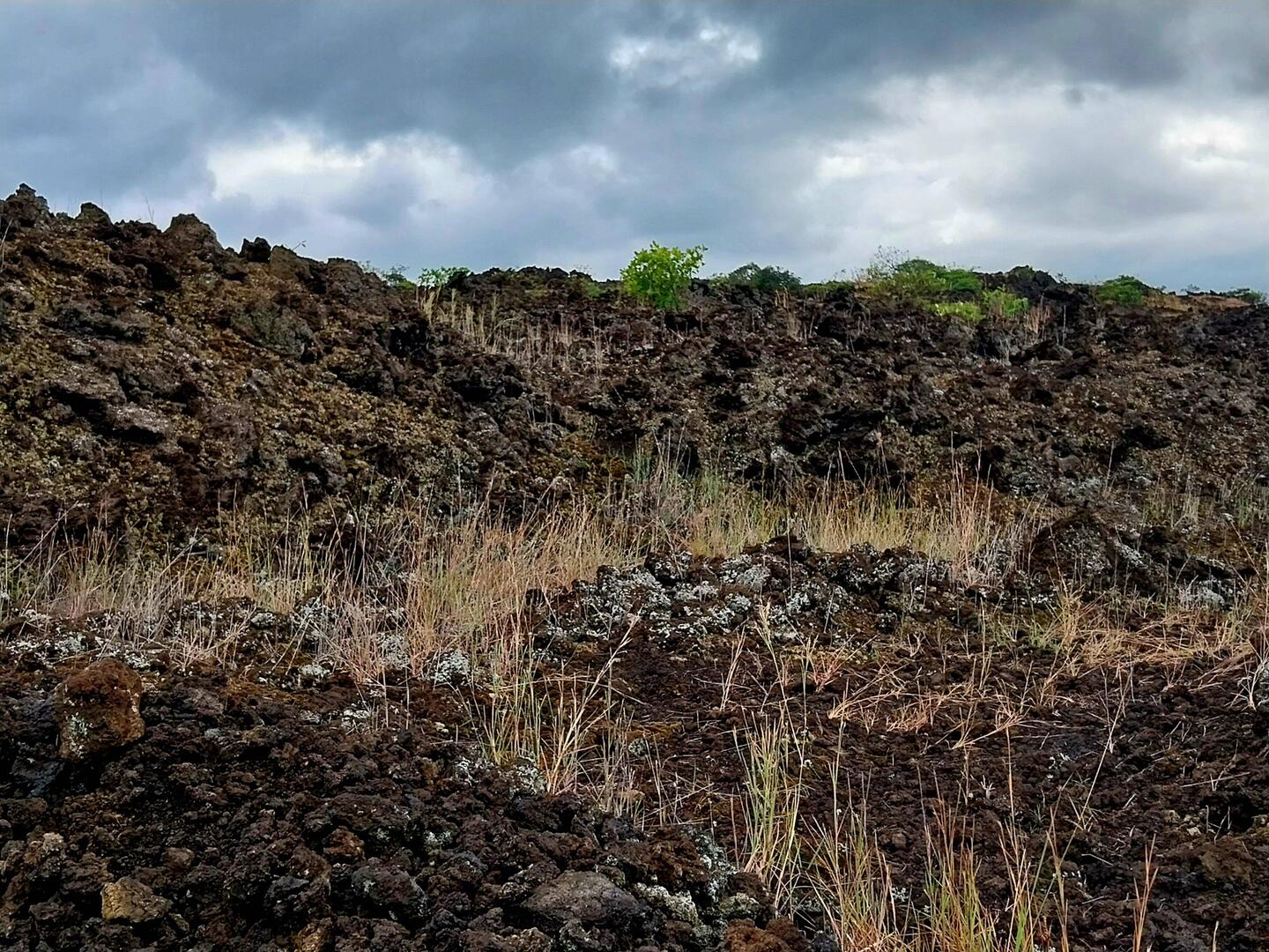 Spaziergang durchs Lavafeld vom letzten Ausbruch