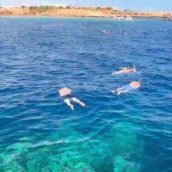 Top-Schnorcheln-Revier!🐠🤿