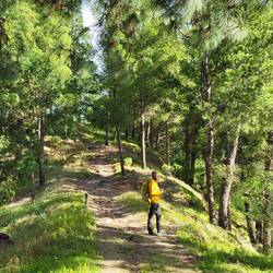 Durch den Wald geht es erstmal aufwärts.