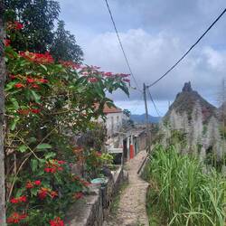 Ein riesiger Weihnachtsstern.