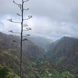 Da müssen wir runter, bis ans Meer.