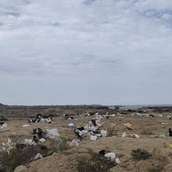 In Peru herrscht ein grosses Abfallproblem.