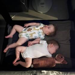 Wann sind die denn so groß geworden? 🥹