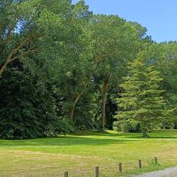 Tai Tapu pour le dejeuner