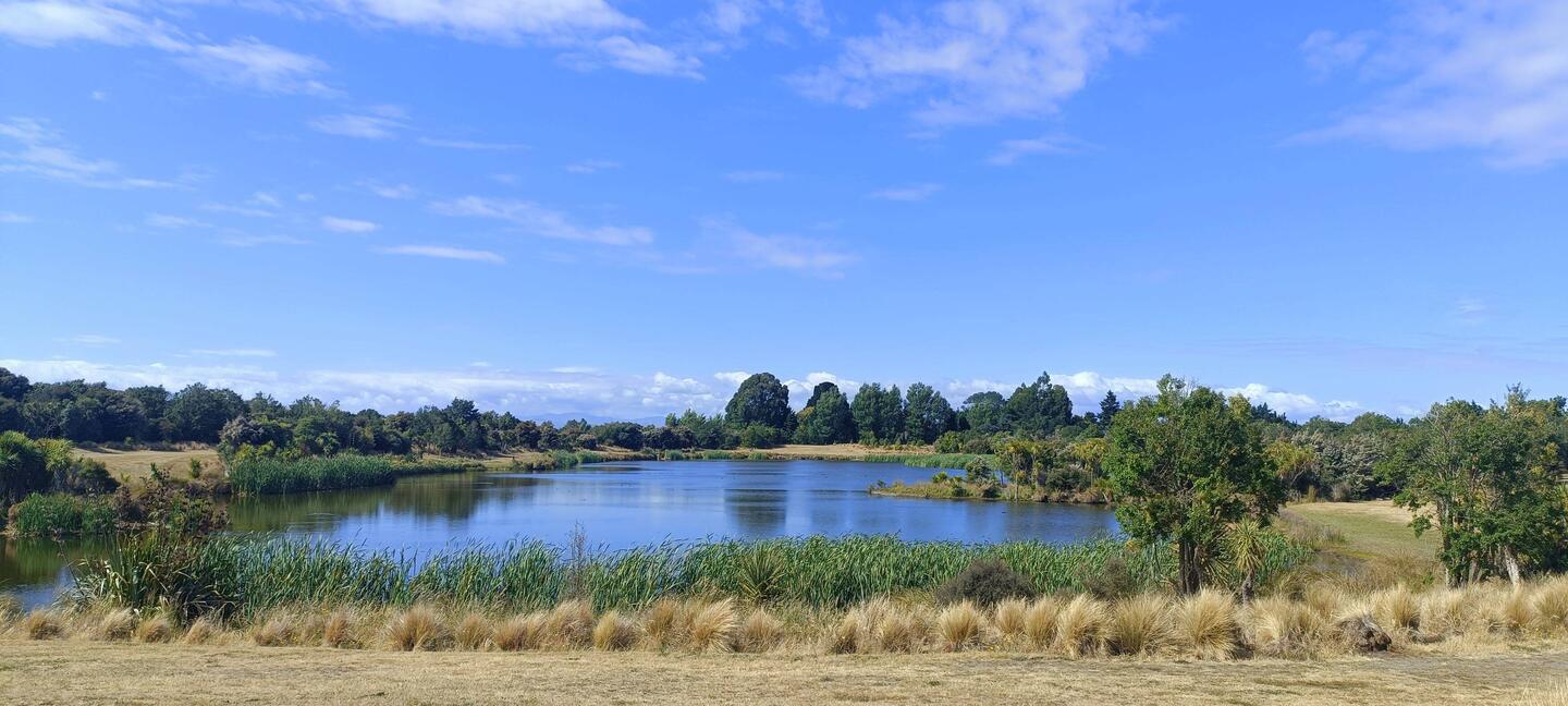Kaiapoi Lakes