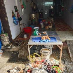 Unten noch lebend, oben bereit zum kochen