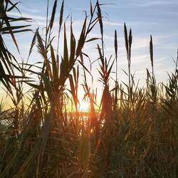 Guten Morgen ☀️