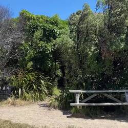 Op de punt van de wandeling stond er een aardig windje