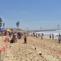 Und der Strand steht voller Menschen