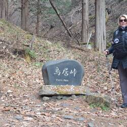 The official Torii Pass marker