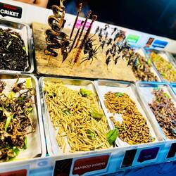 Verdiene tüe si gloub vorauem am la Fötele: 10 Bhad 😂