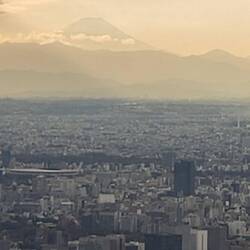 ... mit Mt. Fuji im Hintergrund ☘️