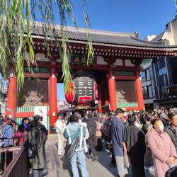 Eingang zum Sensō-ji Tempel