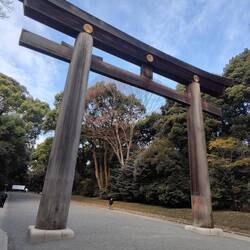 höchstes Torii-Gate Japans im Mejin-Schrein