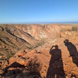 Blick mit zwei Riesenkängurus😝