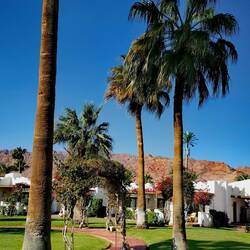 My favorite part of Swiss Inn!