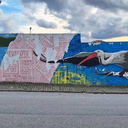 Hier gibt es viele Storchennester