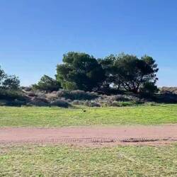 🐦‍⬛❣️🐦‍⬛