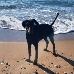 ..🐕‍🦺sie ist sooo brav 😇 🐾🥰❤️