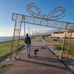 Alex's-Geschenk ist bereits komplett.