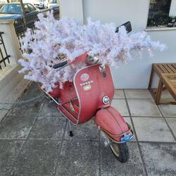 Sicher schwierig damit zu fahren.